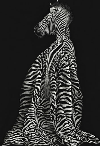 Do My Stripes Look Big In This?