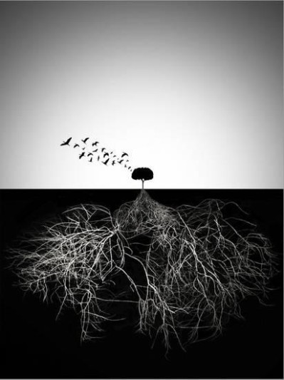 Do Not Judge According To Appearance