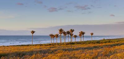 West Coast
