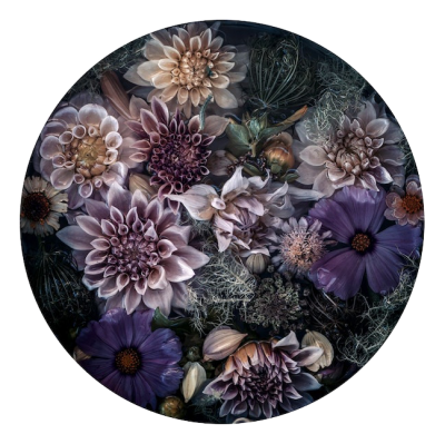 Dahlias And Cosmos