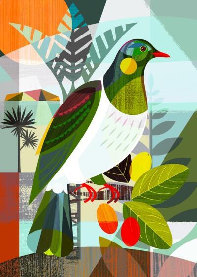 NZ Kereru Summer