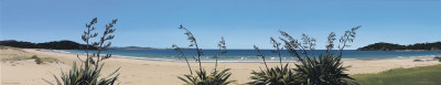 Endless Summer, Tutukaka Coast