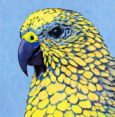 Alpine Kea on Light Blue