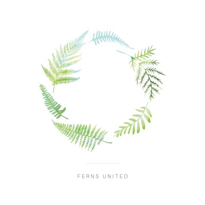 Ferns United