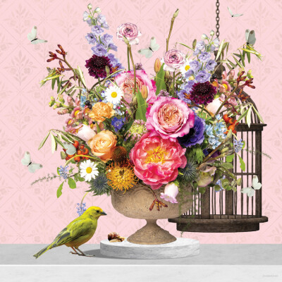 Sweet Canary