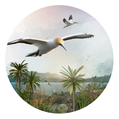 Life Force Gannet