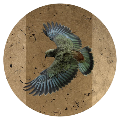 Kea Circling