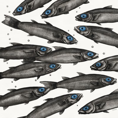 Holy Mackerel