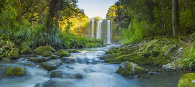 Whangarei Falls