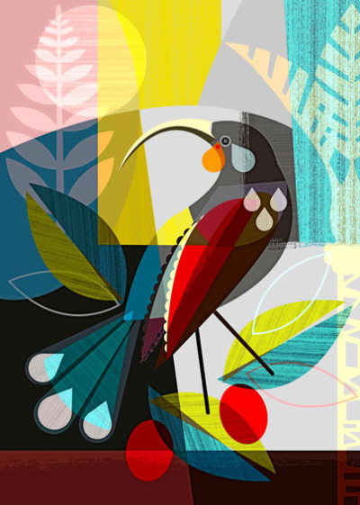 Huia Dreams