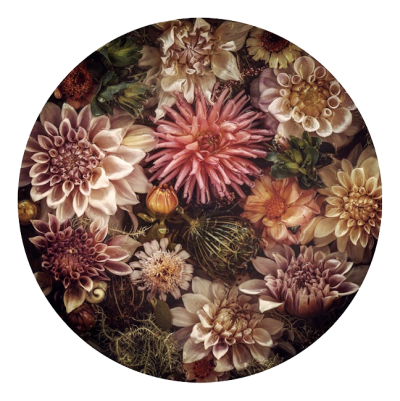 Muted Pinks