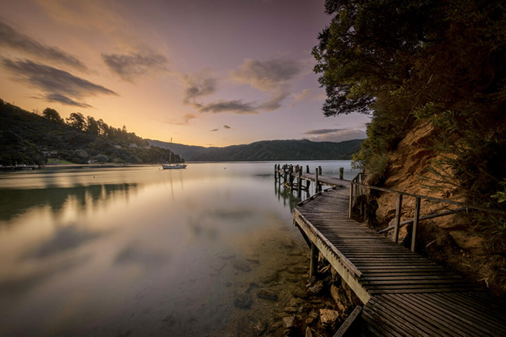 Bythell's Bay, Marlborough Sounds