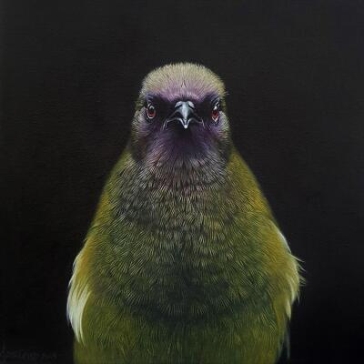 The Bellbird's Declaration
