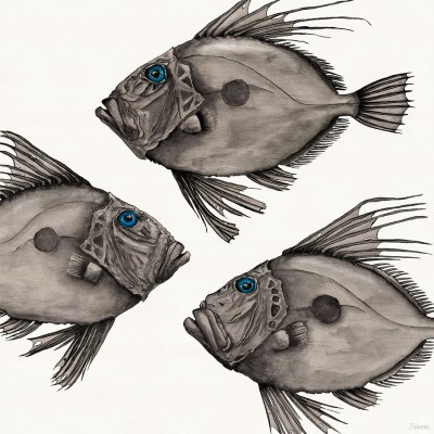 John Dory