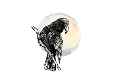 Kaka - Ink Series