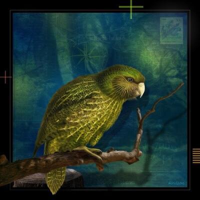 Kakapo