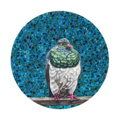 Kereru (KB)