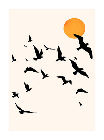 Dancing in the Sky