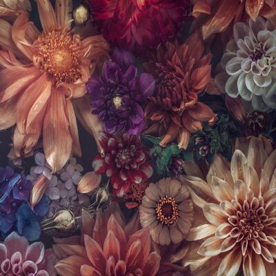 Vibrance (detail)