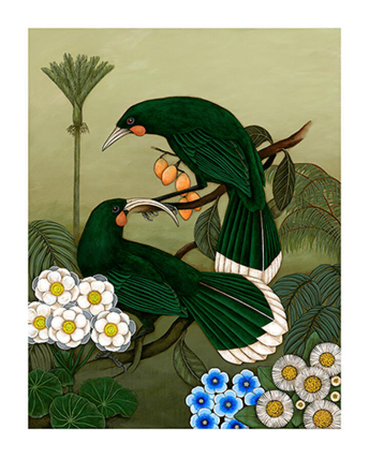 Huia Forest