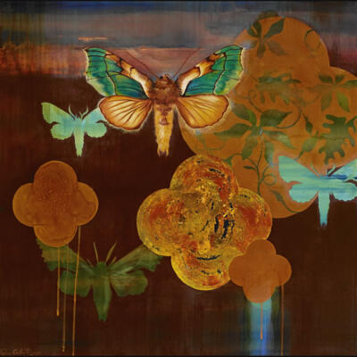Moon Moth