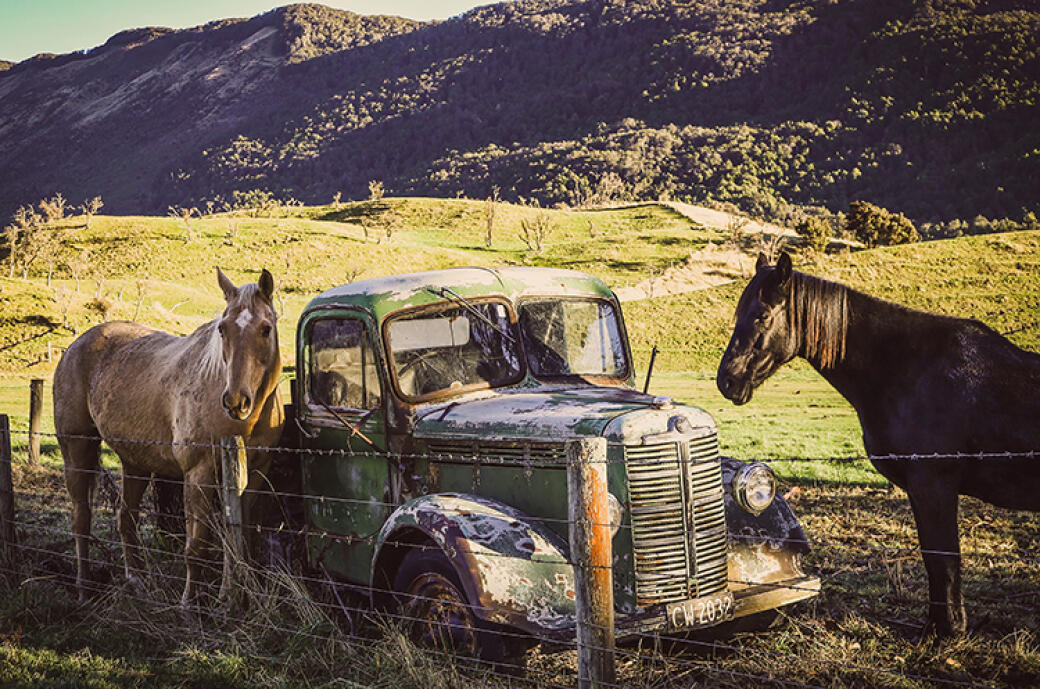 Horse Power