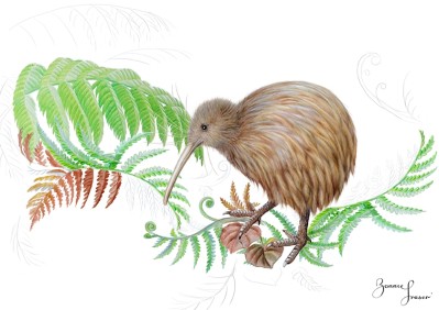 New Zealand Kiwi & Fern