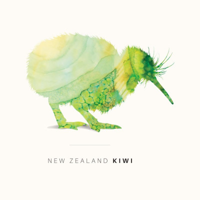 New Zealand Kiwi