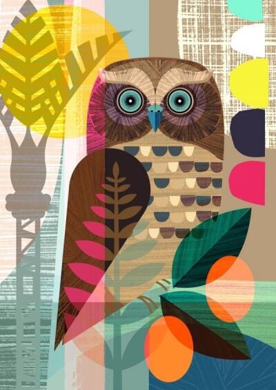 New Zealand Morepork - Temp. Framed Only
