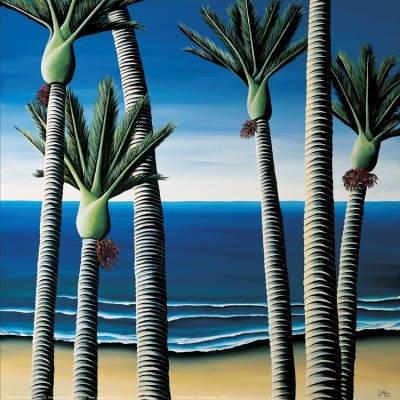 Nikau Palms