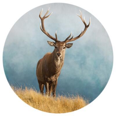 Majestic