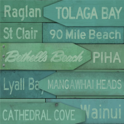 NZ Beach Signs (detail)