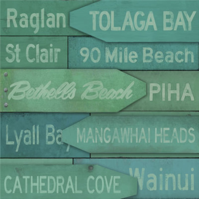 NZ Beach Signs (detail)
