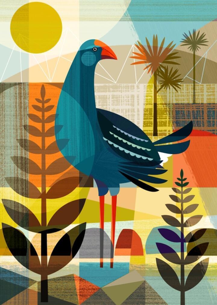 New Zealand Pukeko (EG)