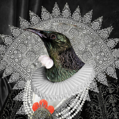 Sweet Tui The Queen Of Spring