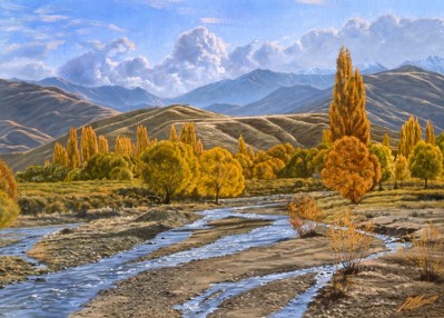 Branch Burn Near Wanaka