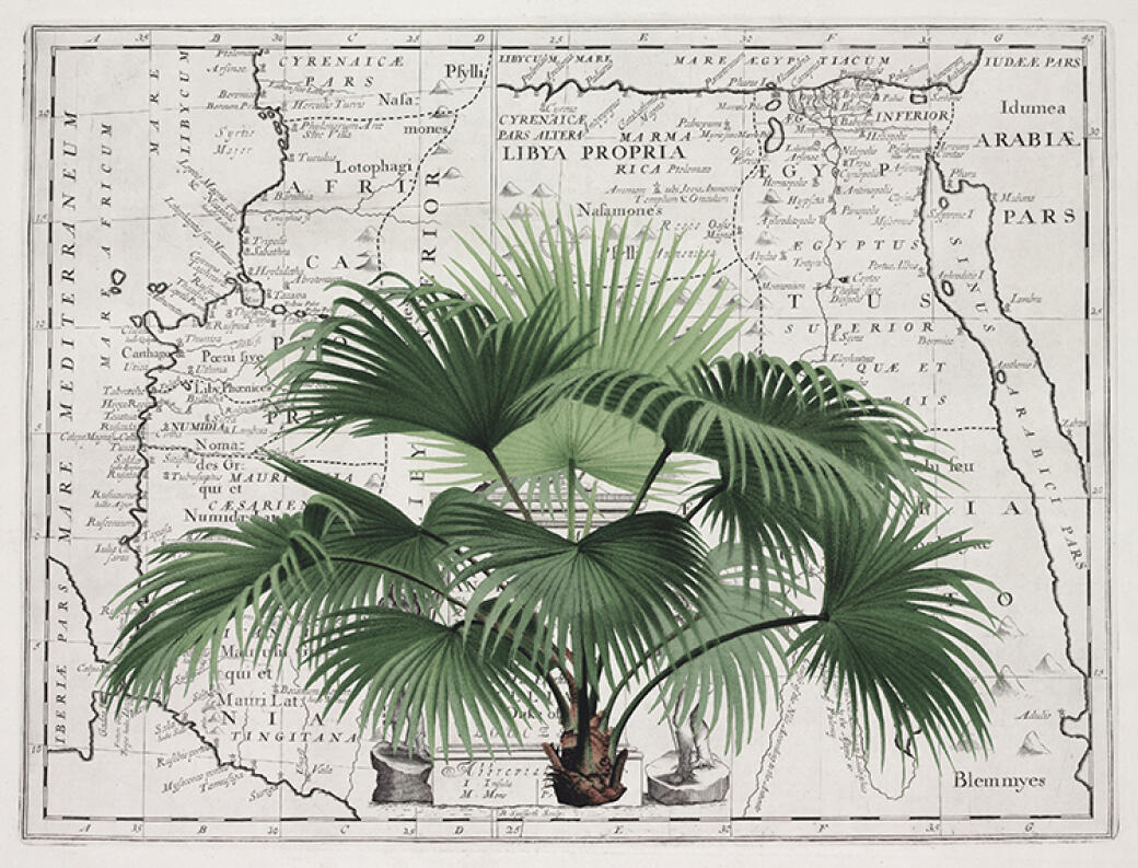 Tropical Empire 3