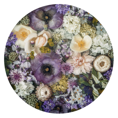 Hues Of Purple