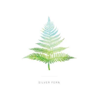 Silver Fern