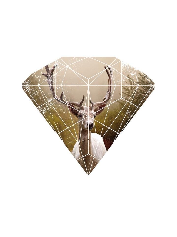 Stag Geo
