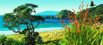 Tawharanui