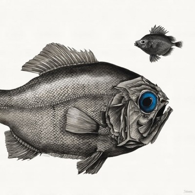 The Big Blue