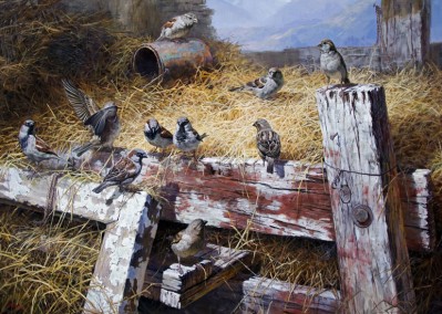 The Sparrows