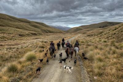 The Road Home (NS)