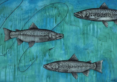 Trout - Tight Line
