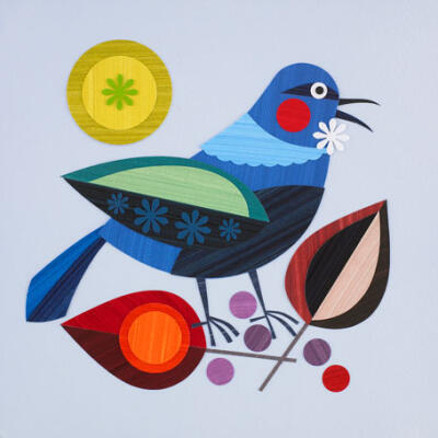 Tui