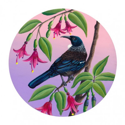 Tui In The Fuschia