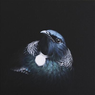 Tui Portrait 2