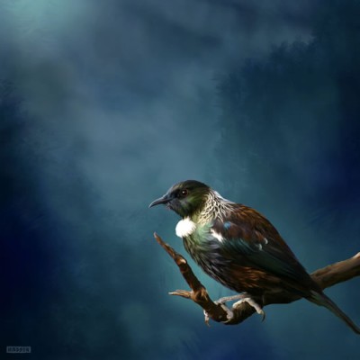 Tui Tane