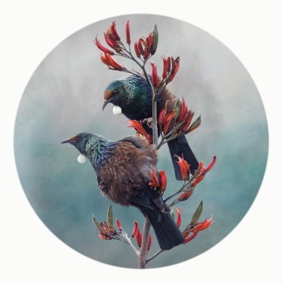 Tui Duet